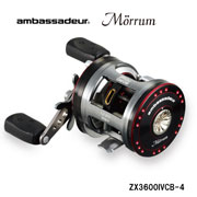 2010NEW�@�A���o�T�_�[�@�������@ZX3600IVCB