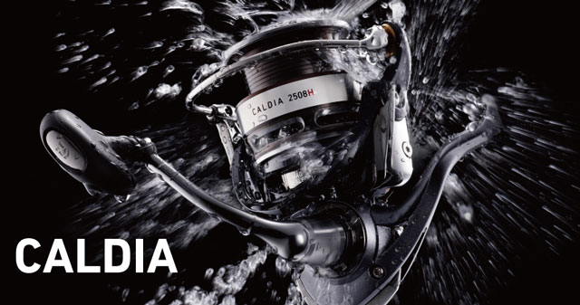 DAIWA 14カルディア(CALDIA) DAIWA 14カルディア(CALDIA)
