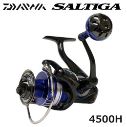 �_�C��(DAIWA) 15�\���e�B�K 4500H 