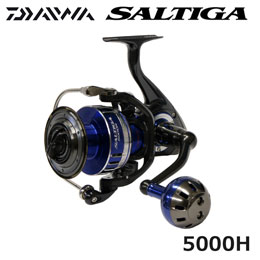 �_�C��(DAIWA) 15�\���e�B�K 5000H 