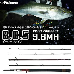 フィッシュマン(Fishman) ビーシーファイブ(BC5) 9.6MH