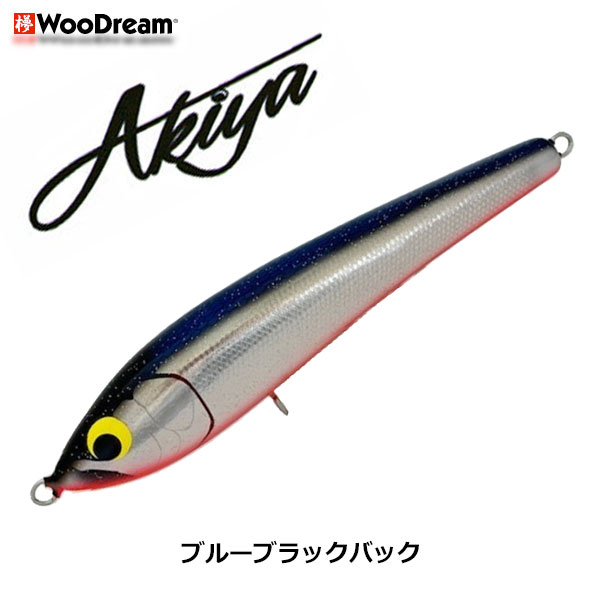 六度九分、ウッドリーム等、計11点ルアーセット ウッドリーム(WooDream) Akiya 170 BBKB ブルーブラックバック ☆天然