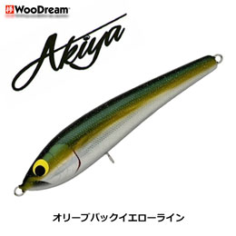 ウッドリーム(WooDream) Akiya 170 OBYL オリーブバックイエローライン ★天然アワビシールプレゼントキャンペーン中