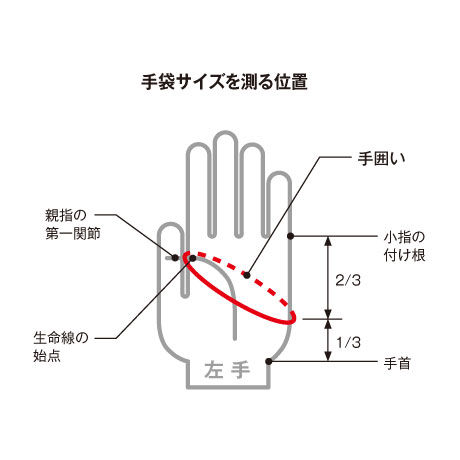 リバレイ(ソウシン) 8816 RBB フレックスグローブ3C ブラック M  rbb_globe_size.jpg