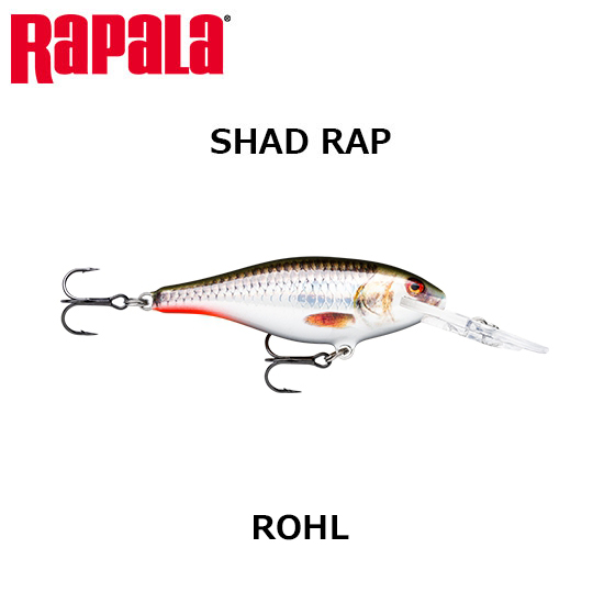 ラパラ(RAPALA) シャッドラップ SR7 ROHL ライブホログラムローチ